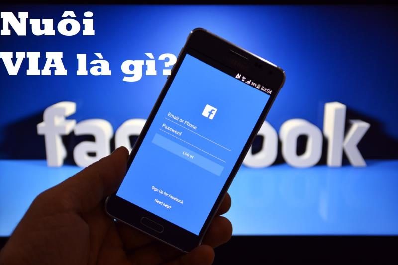 Nuôi via Facebook là gì? Lợi ích của nuôi via Facebook