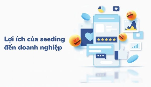 Những lợi ích mà Seeding mang lại cho doanh nghiệp